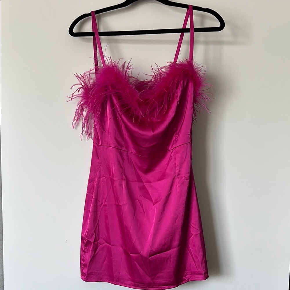 White Fox Boutique Pink Feather Trim Mini Dress